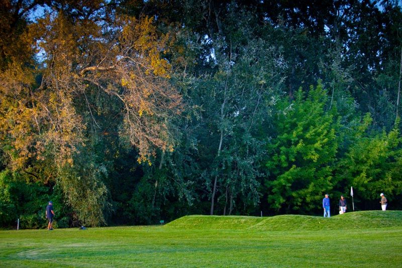 Dolek nr 1 Golf Parks Poland